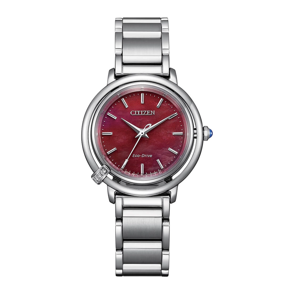 CITIZEN Watches - EM1090-78X - Eco-Drive Light PoweredStainless Steel + Black Apple Leather Strap (Interchangeable)