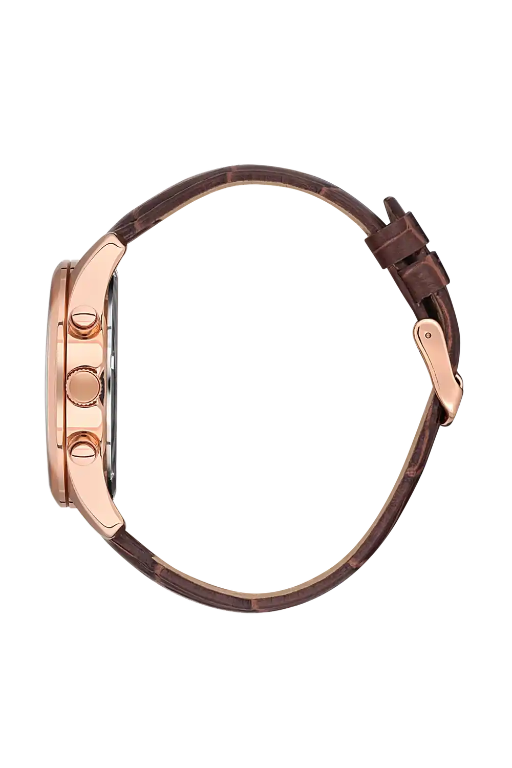 product_499_6884ce94db673.webp